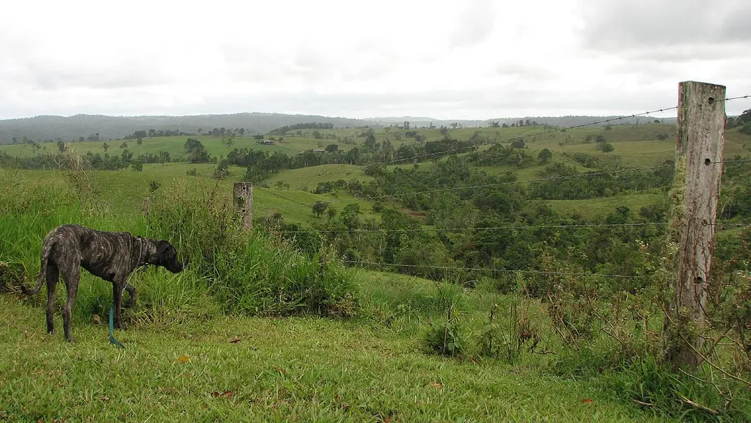 Atherton Tablelands