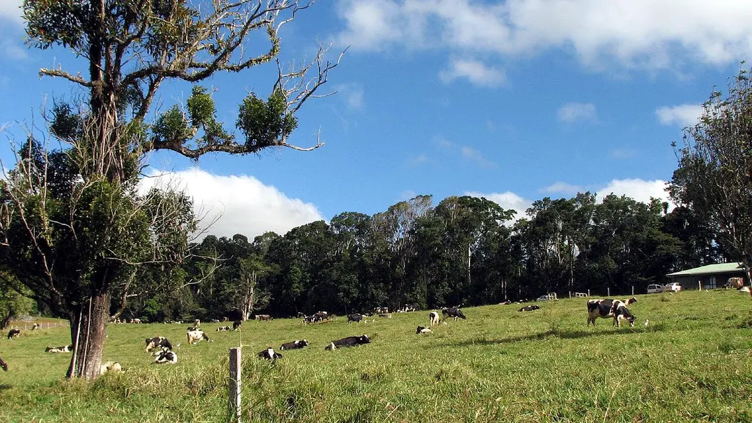 Atherton Tablelands