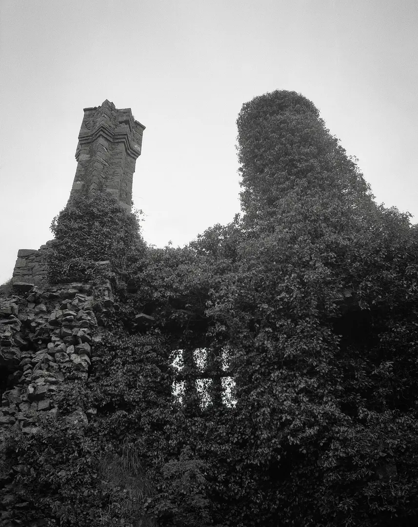 Carbury Castle