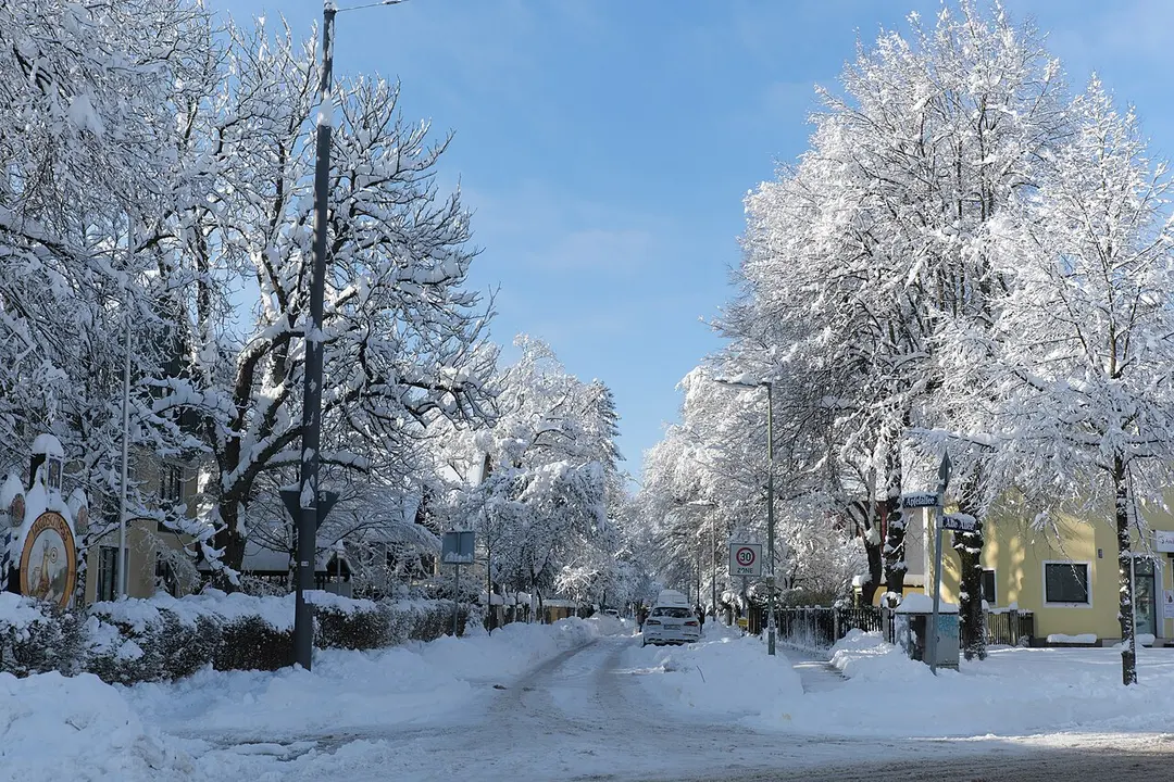 Apfelallee