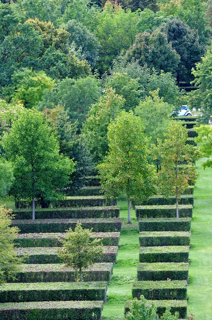 Großer Tiergarten