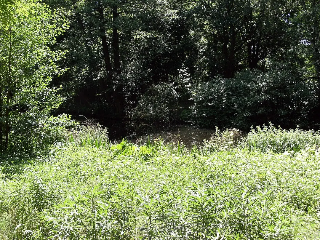 Großer Tiergarten