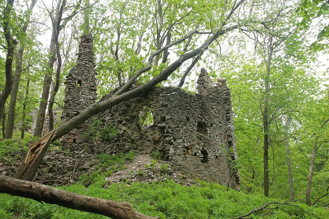 Burg Scharfenstein