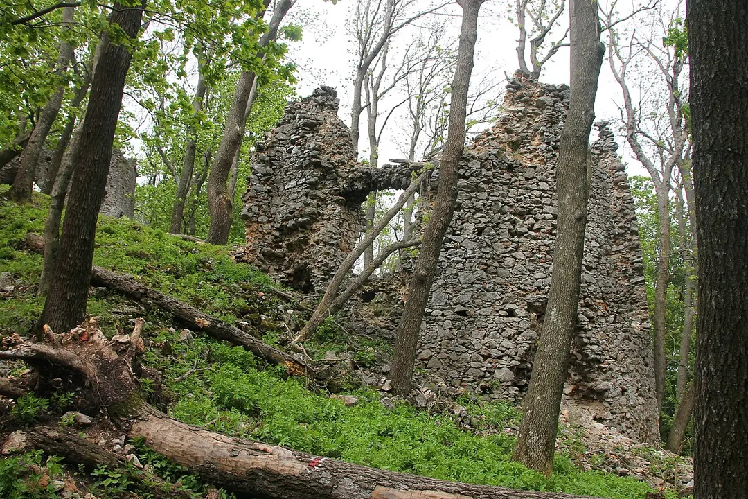 Burg Scharfenstein