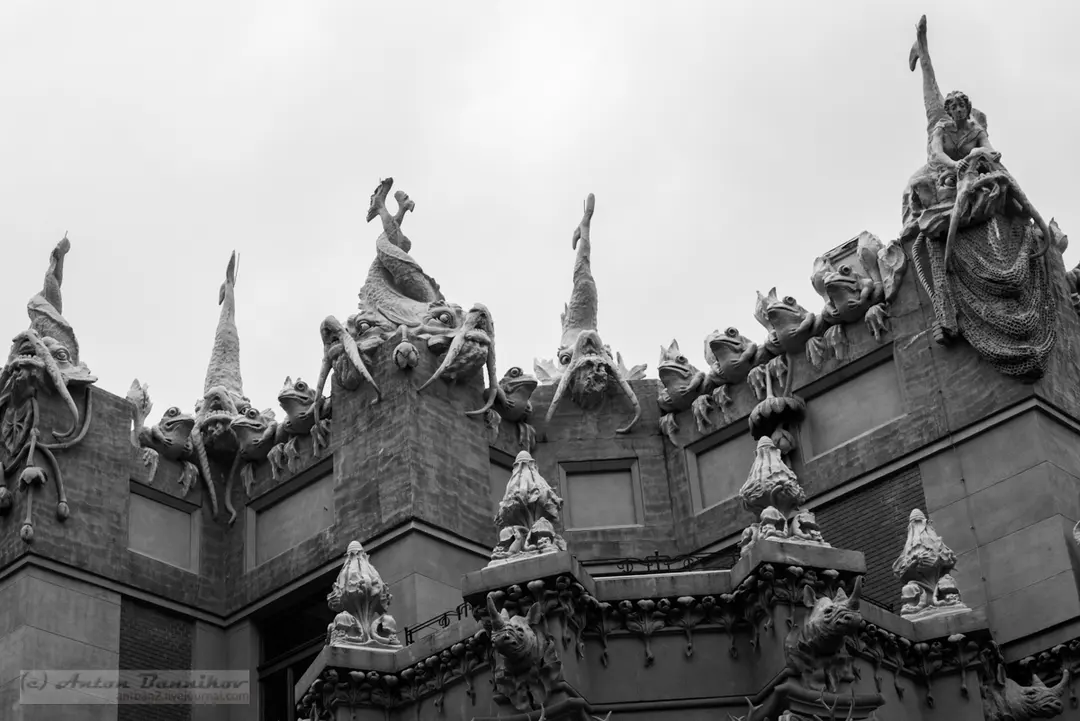 House with Chimeras