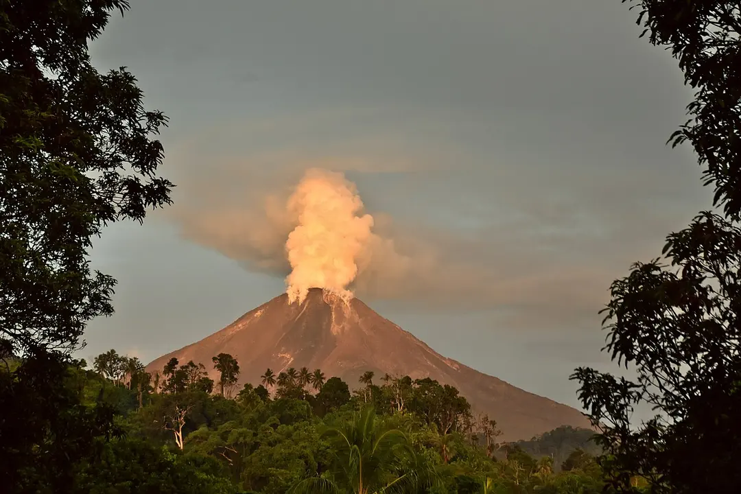 Bagana