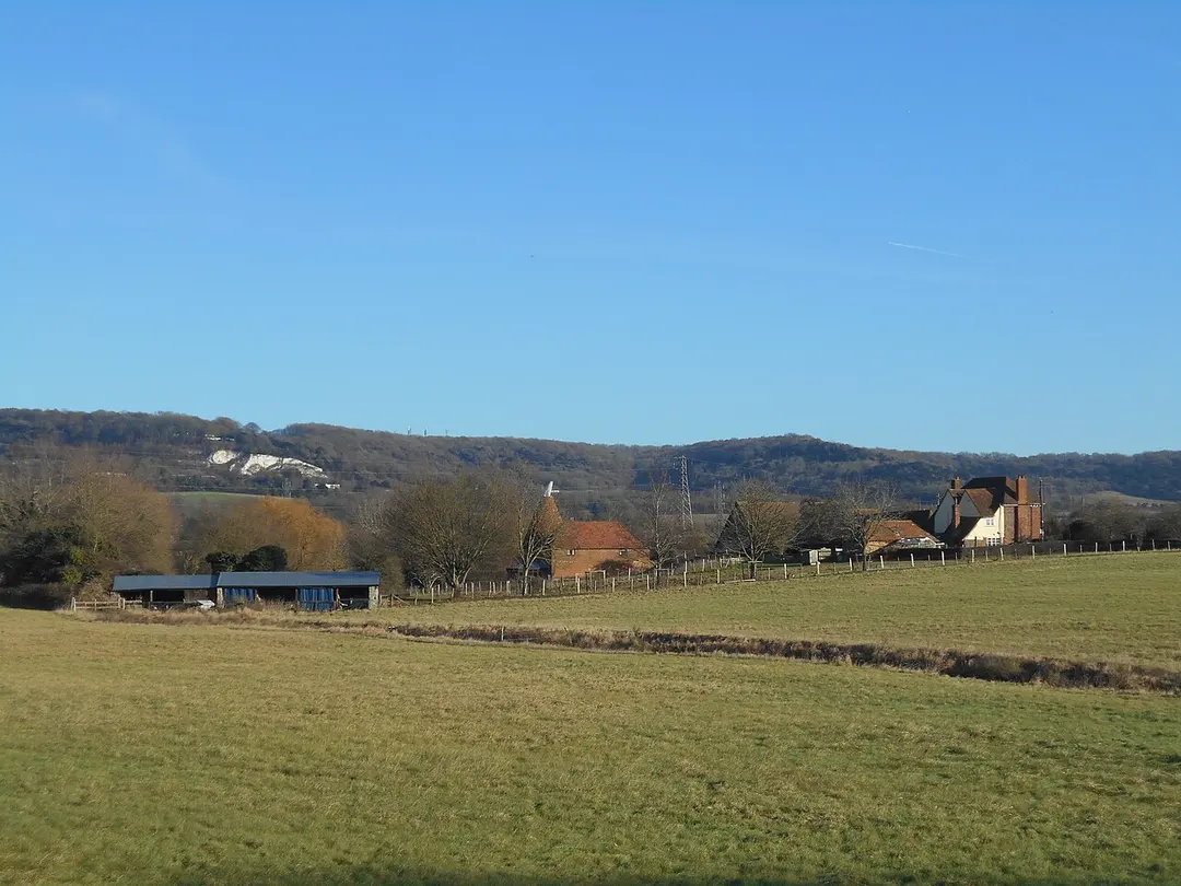 Bluebell Hill