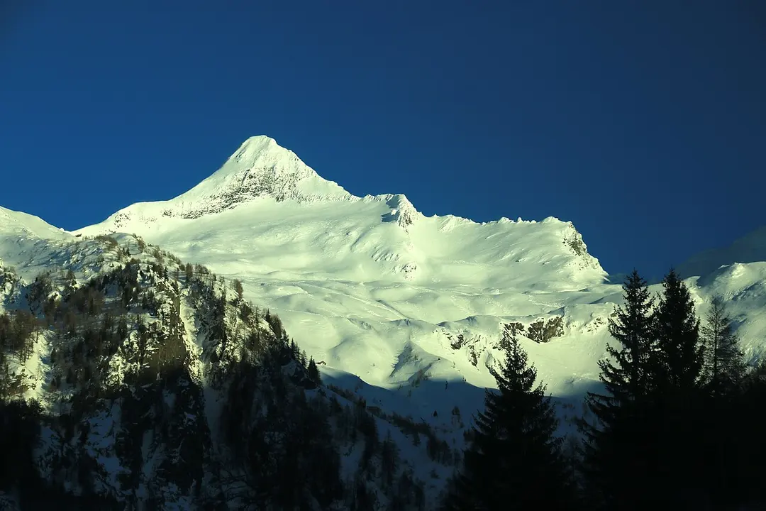 Bortelhorn