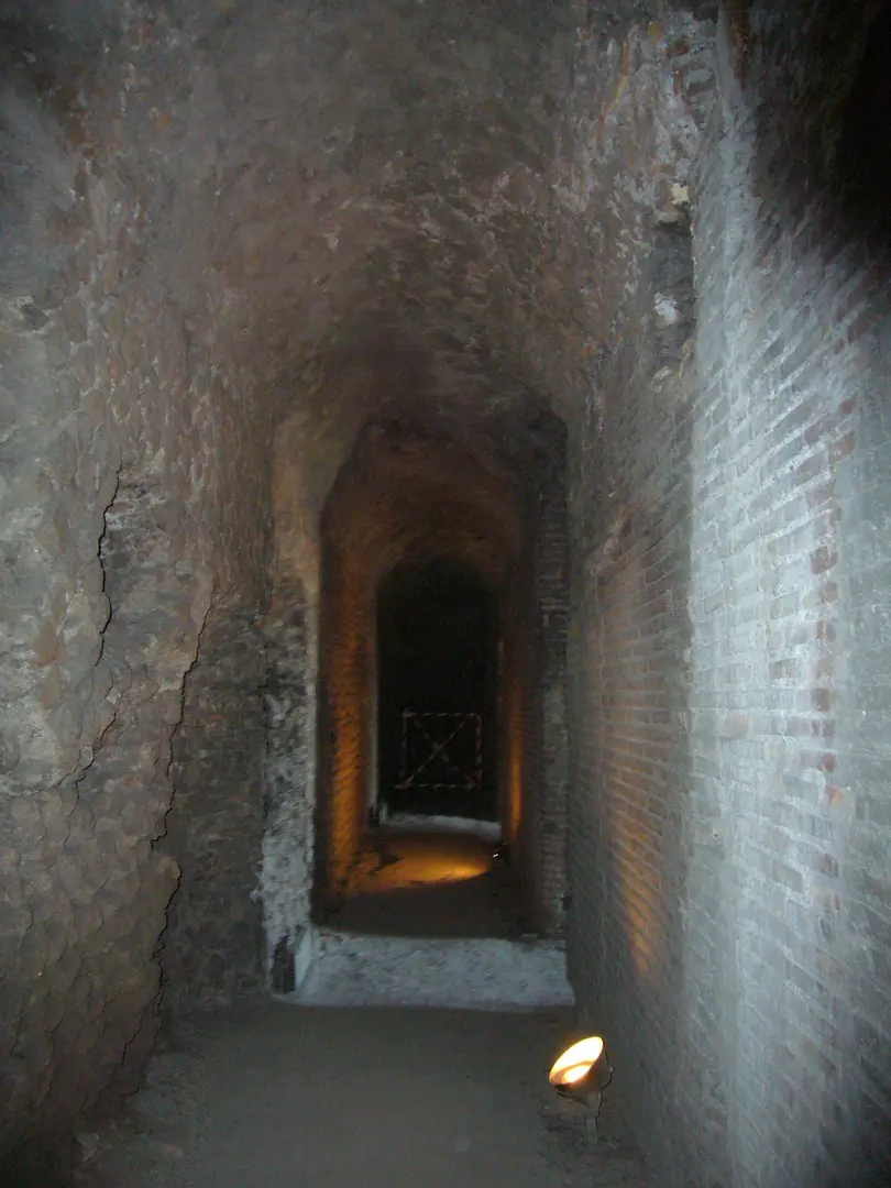 Insula dell'Ara Coeli