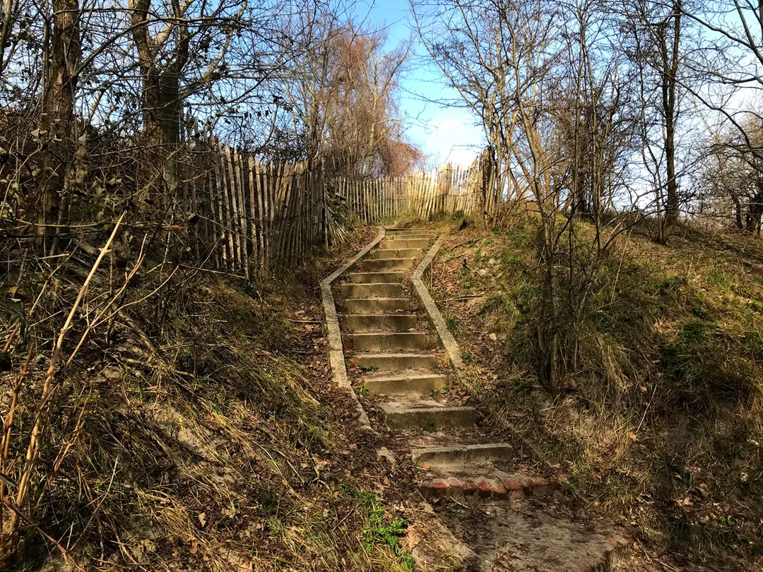 Directeur-Generaal Willemspark