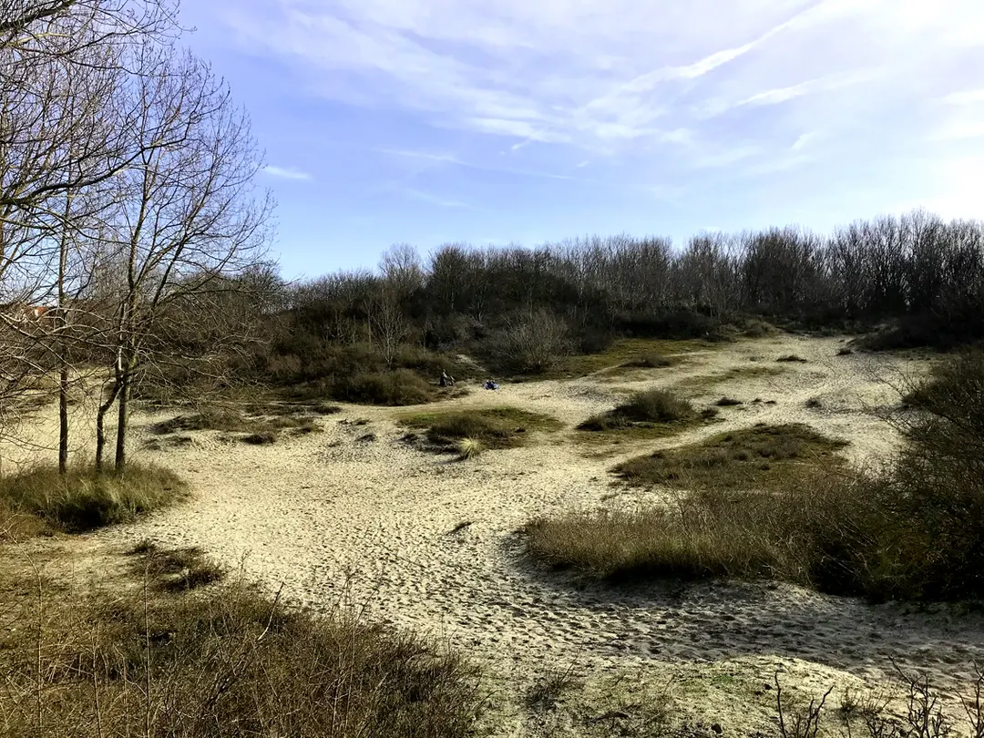Directeur-Generaal Willemspark