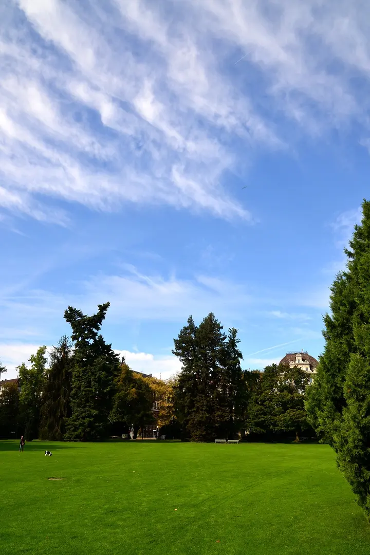Arboretum