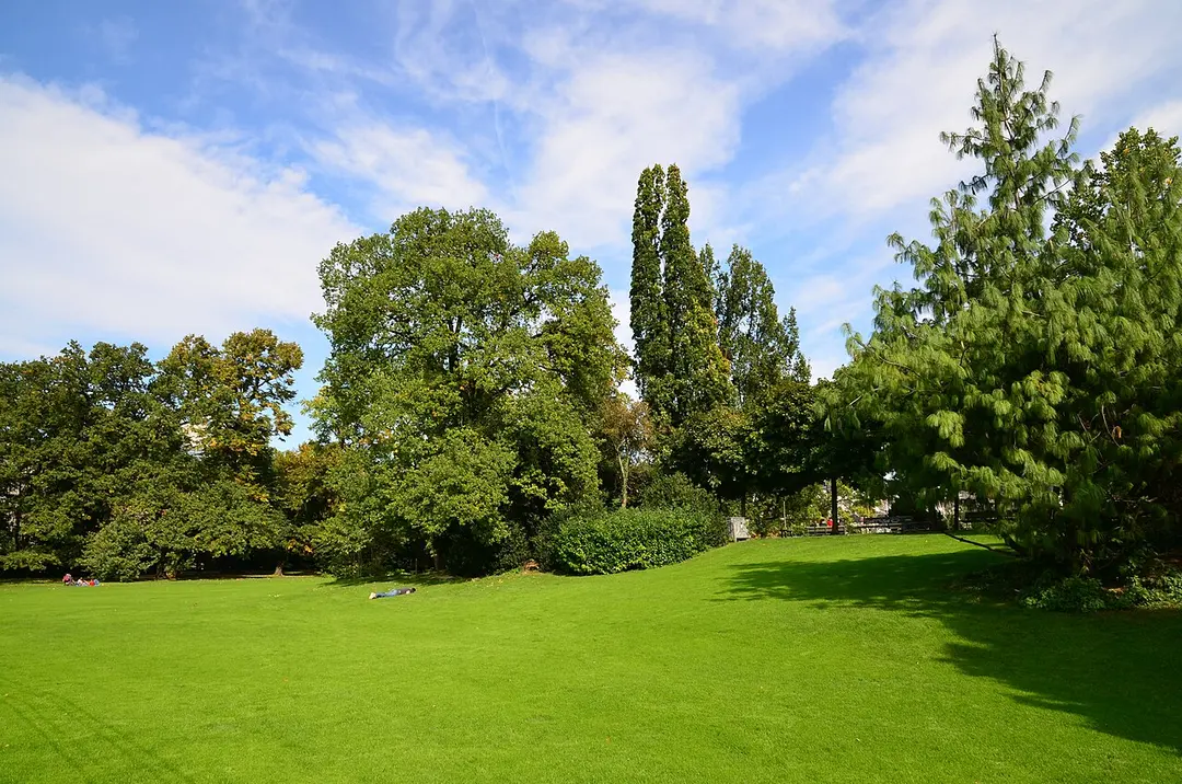 Arboretum