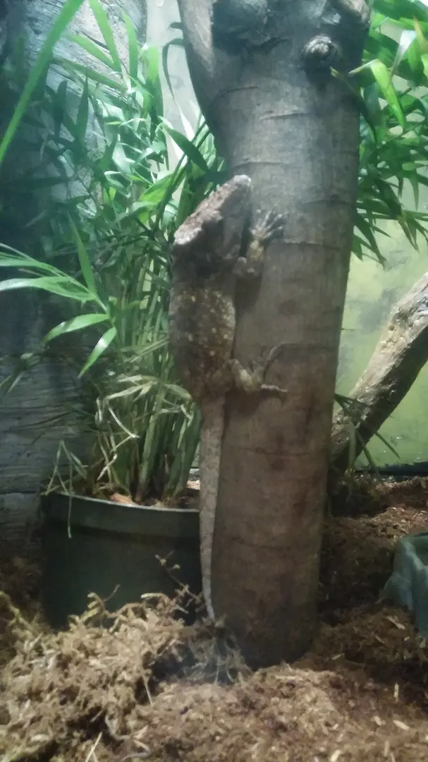 California Science Center