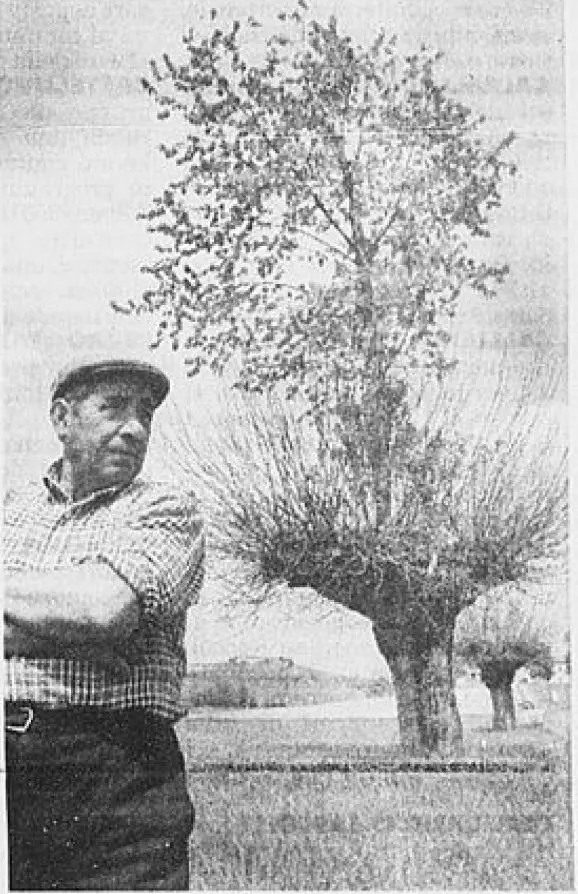 Bialbero di Casorzo