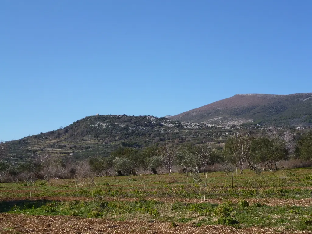 Bijaći