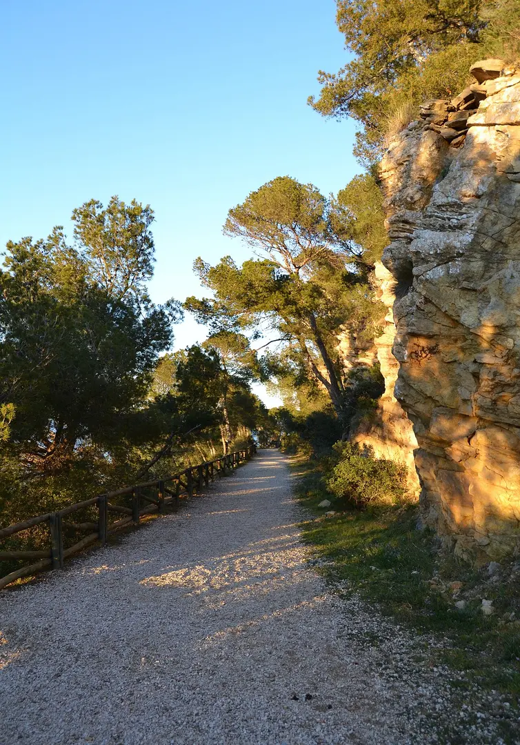 Cap Negre