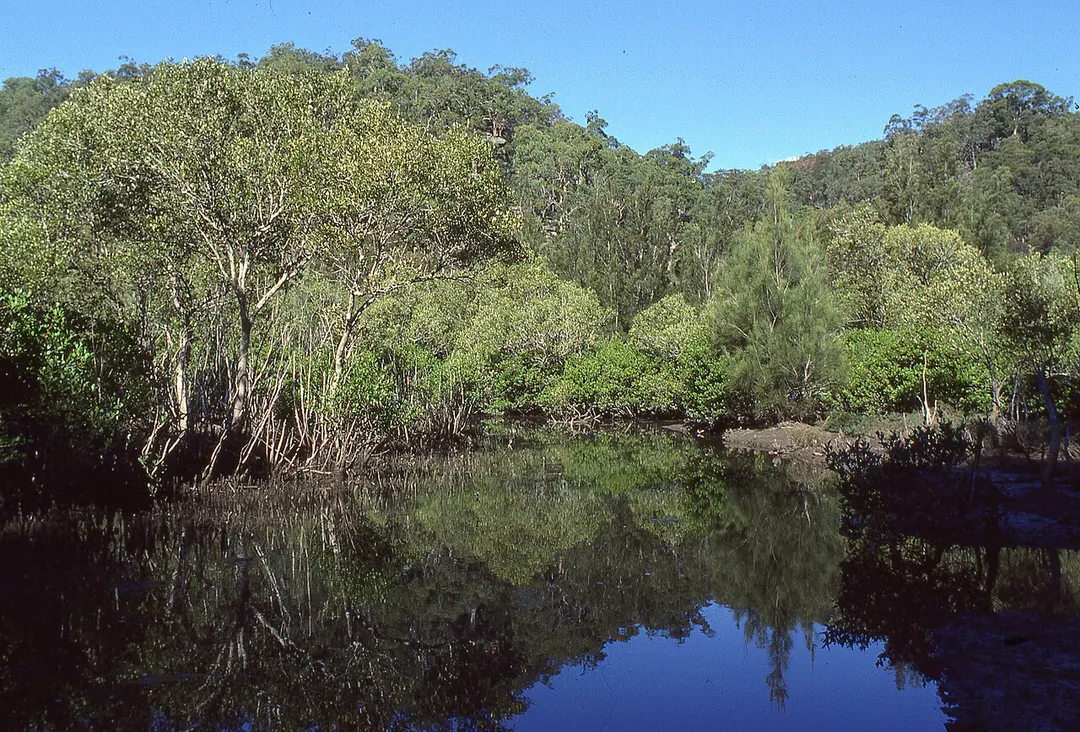 Marramarra National Park