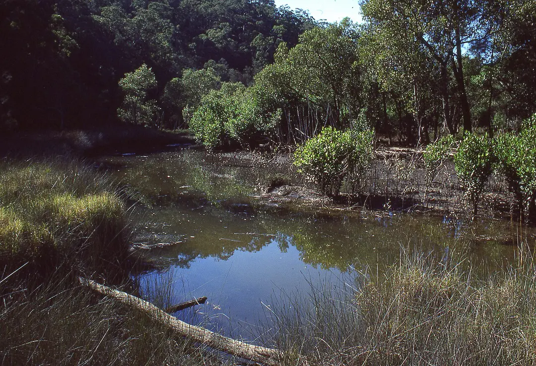 Marramarra National Park