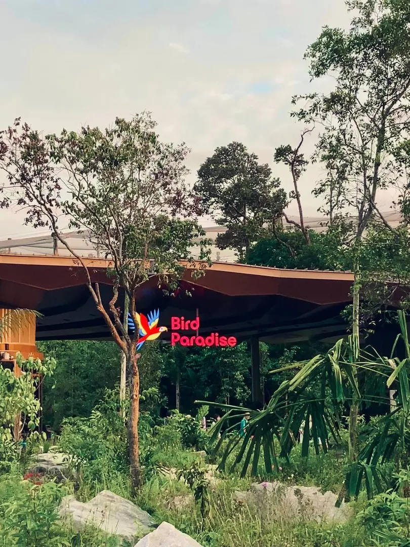 Bird Paradise