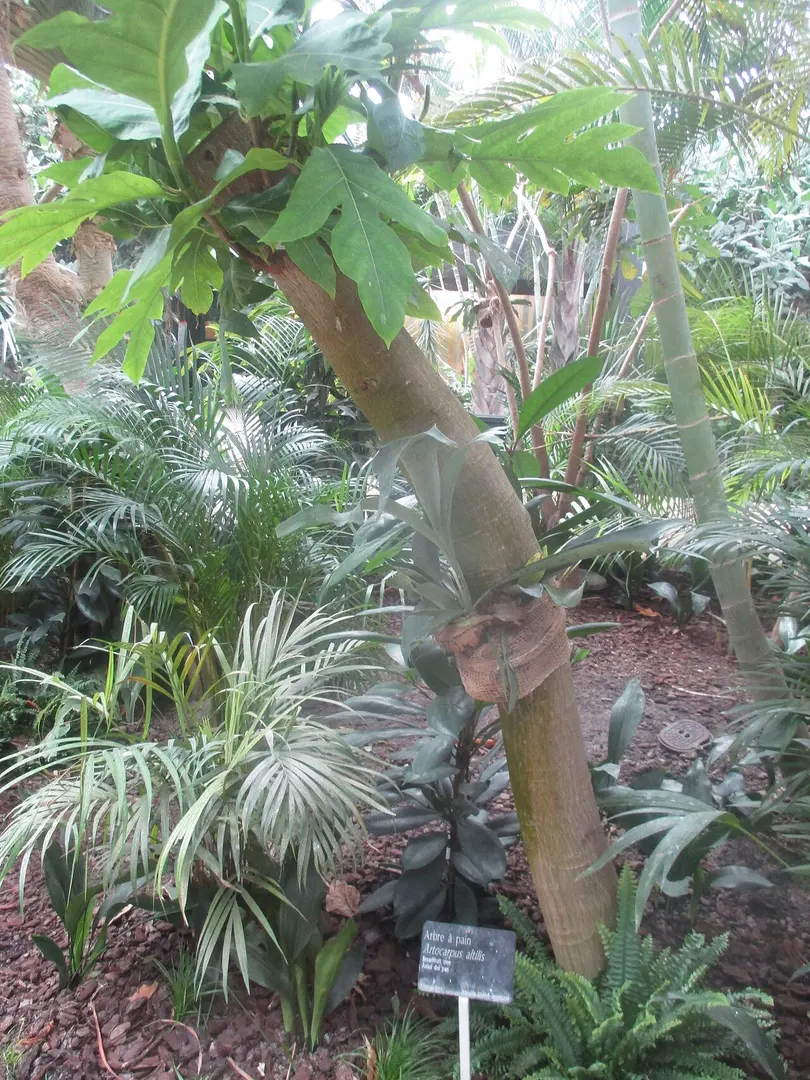 Parc zoologique de Paris