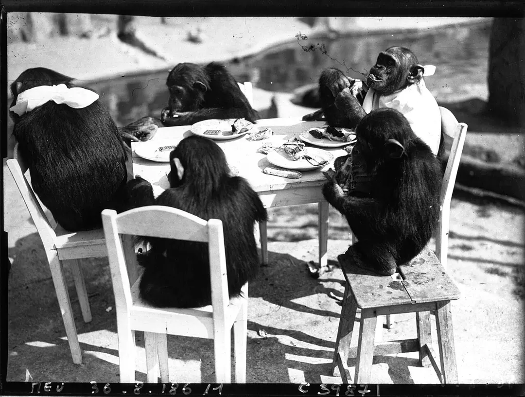 Parc zoologique de Paris