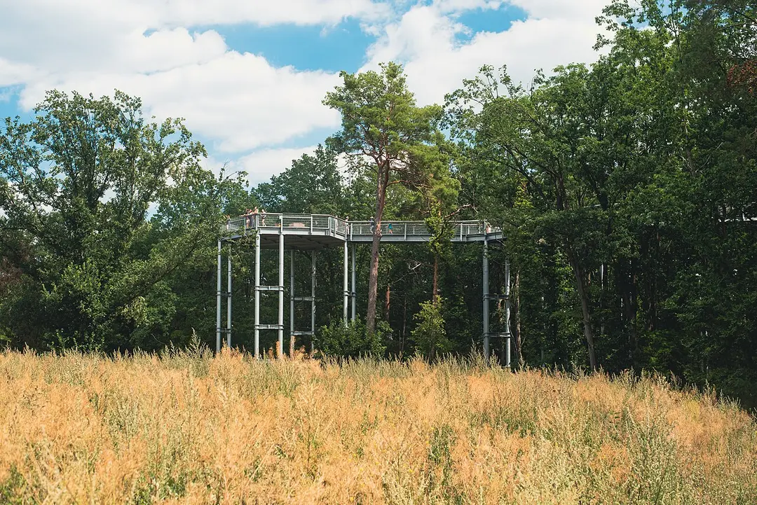 Baum & Zeit - Baumkronenpfad Beelitz-Heilstätten