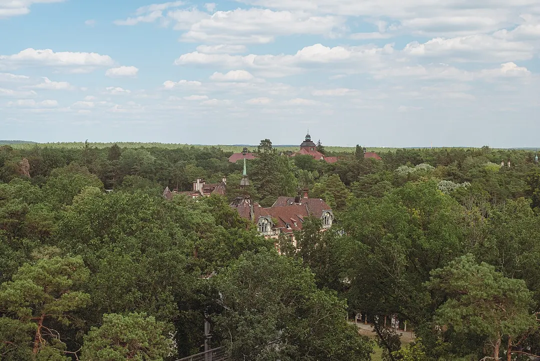 Baum & Zeit - Baumkronenpfad Beelitz-Heilstätten