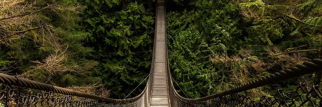 Lynn Canyon Suspension Bridge