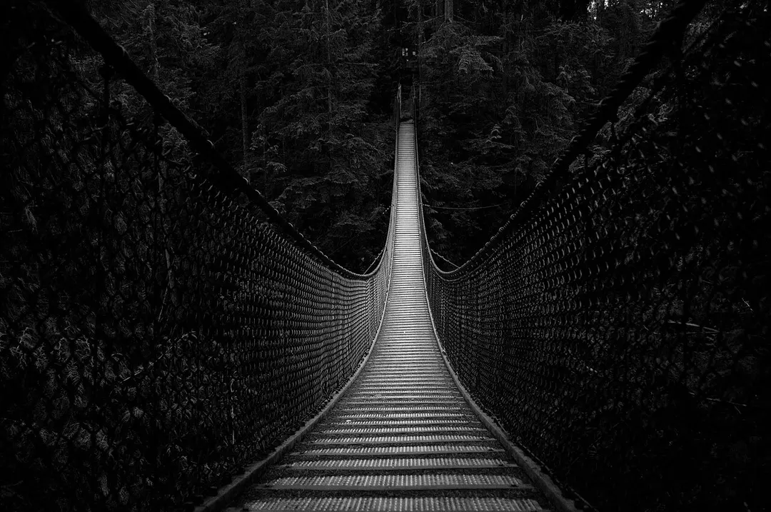 Lynn Canyon Suspension Bridge