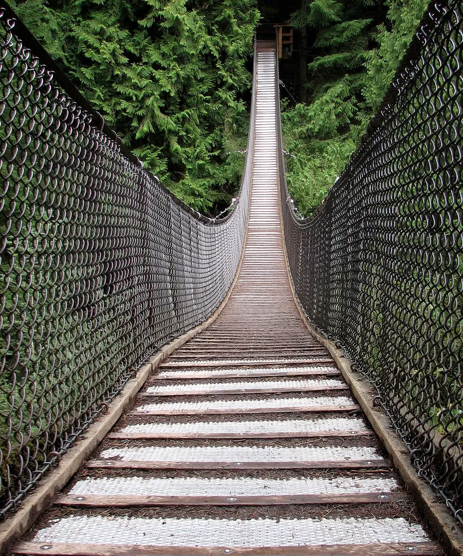 Lynn Canyon Suspension Bridge