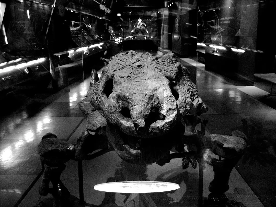 Natural History Museum