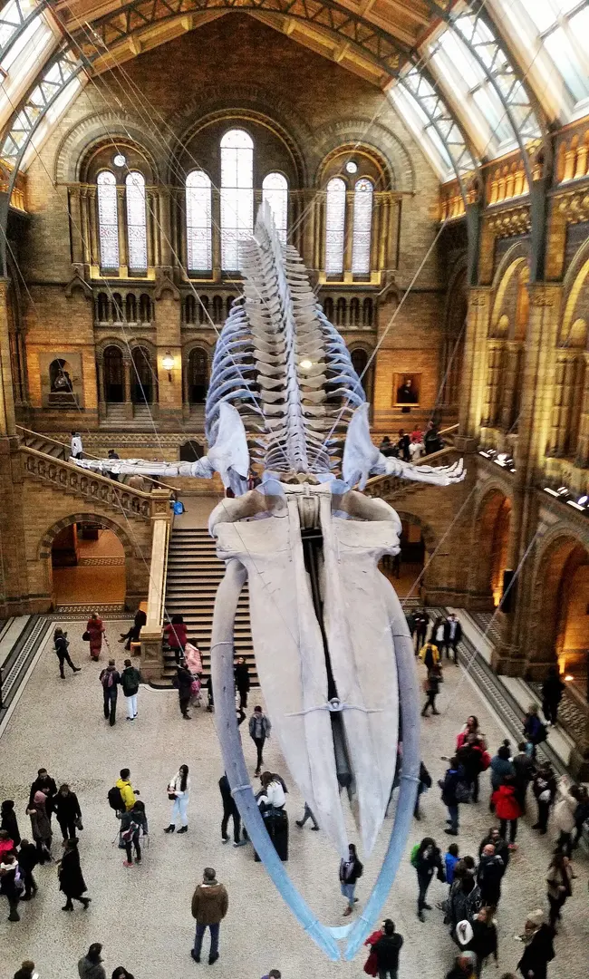 Natural History Museum