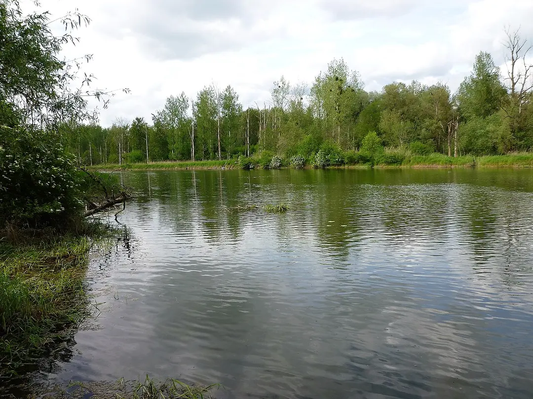 Donaualtwasser Staatshaufen