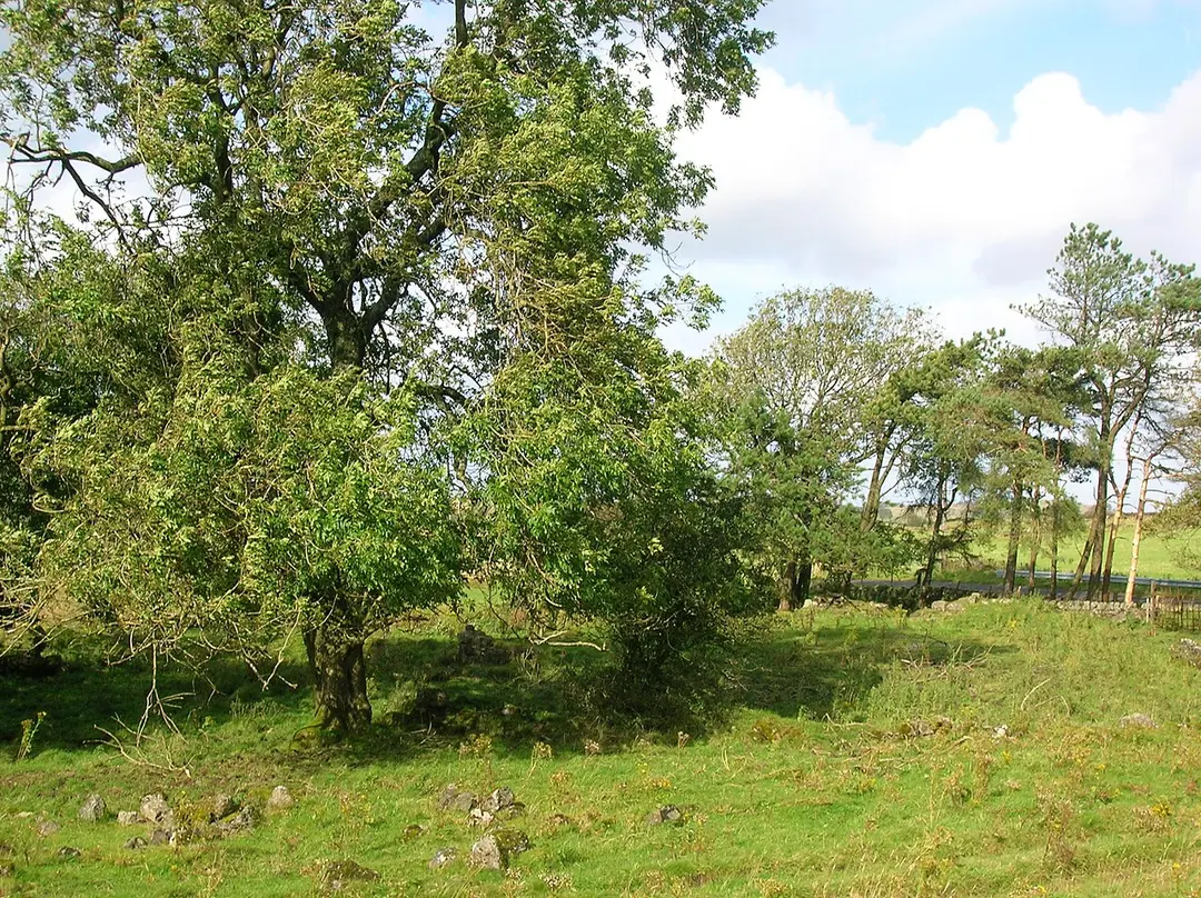 Auchenbathie Tower