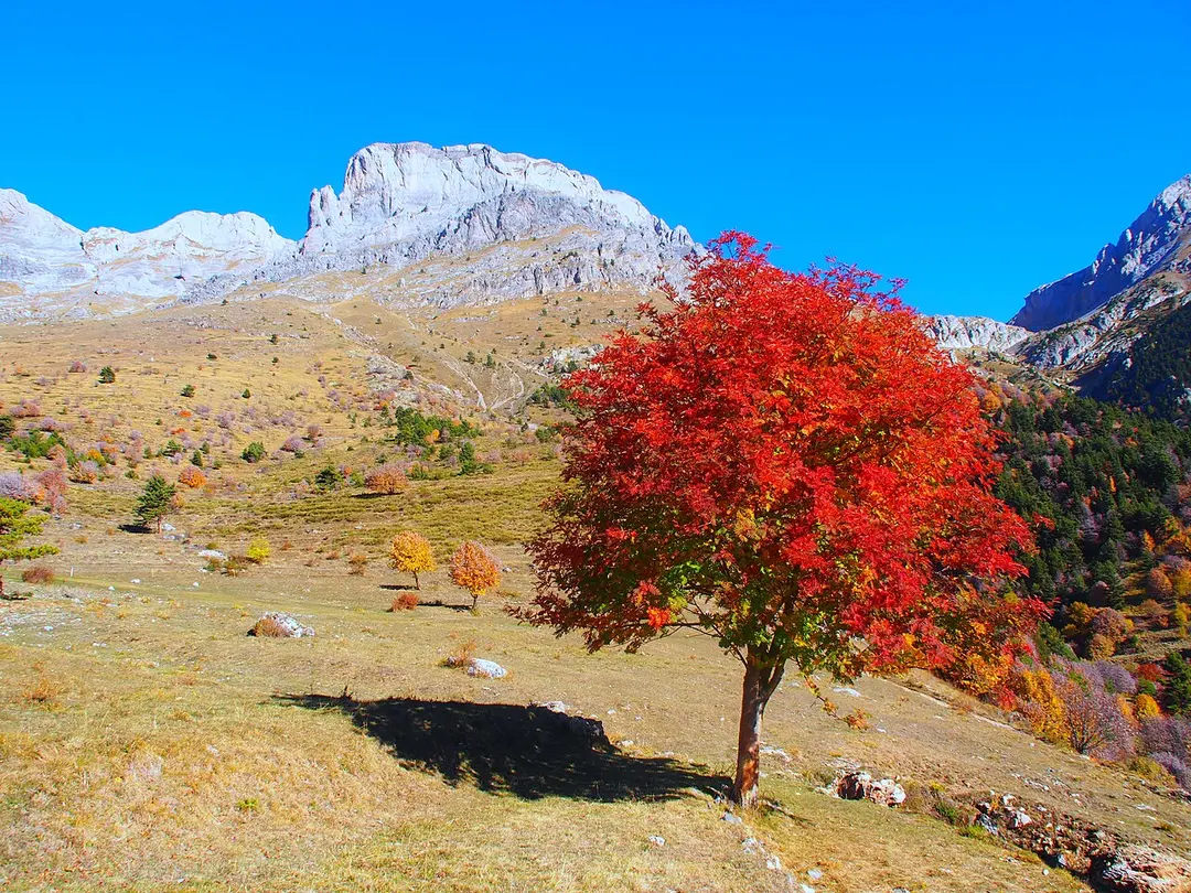 Parco Naturale del Marguareis