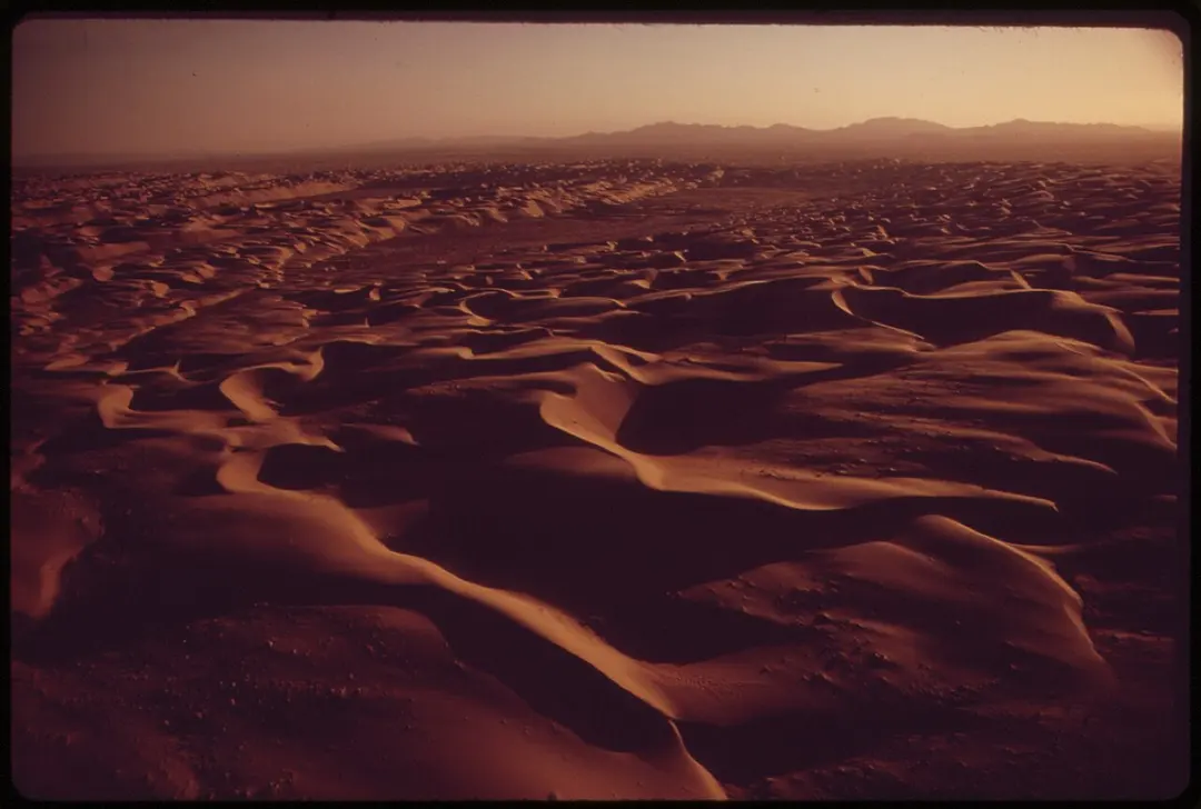 Algodones-Dünen