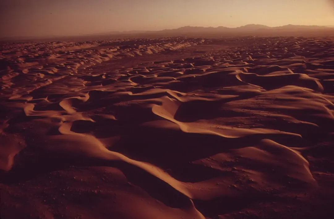 Algodones-Dünen