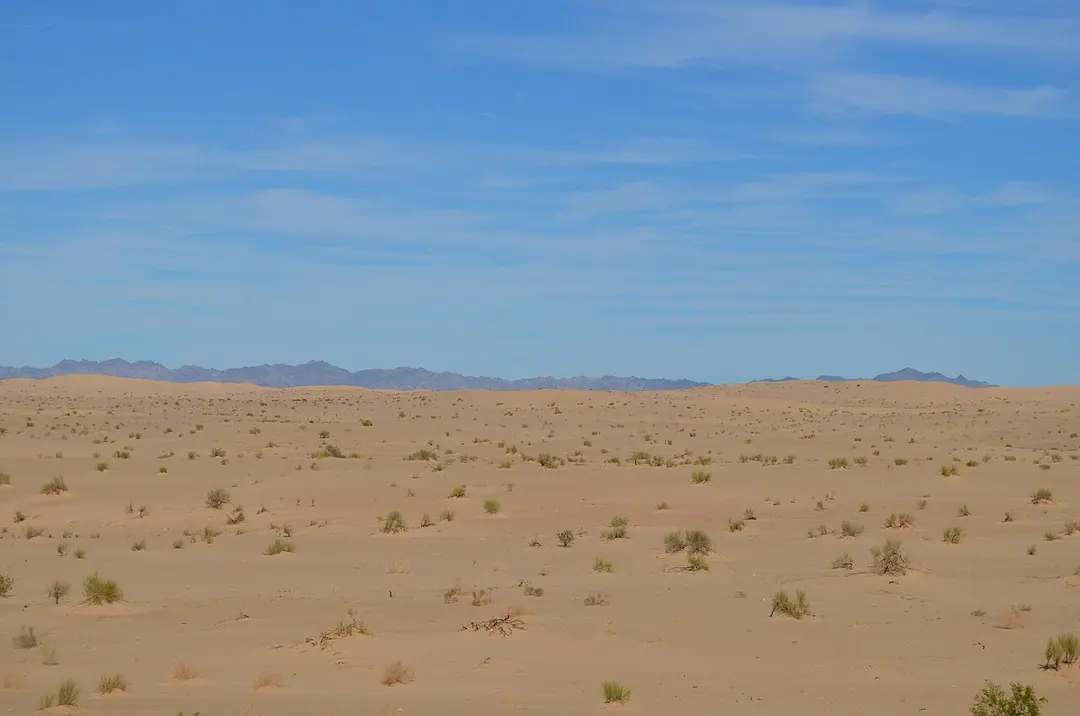 Algodones-Dünen