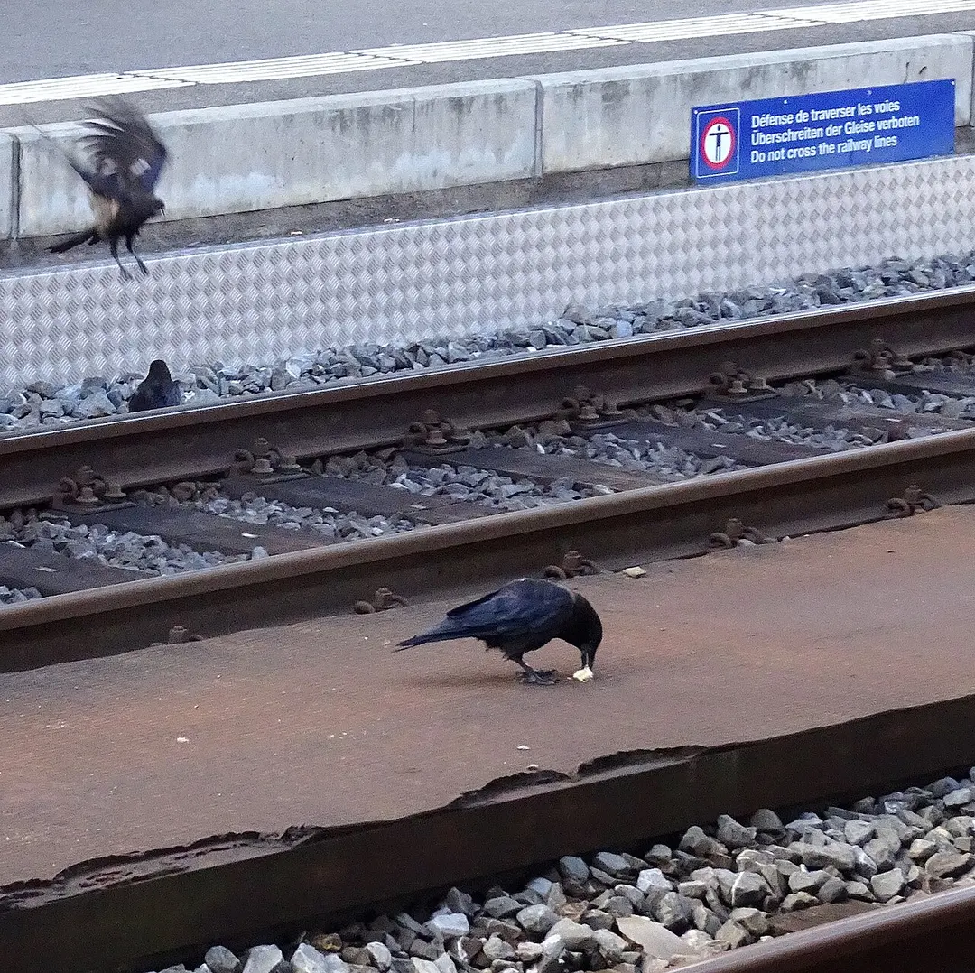 Bahnhof Genf-Cornavin