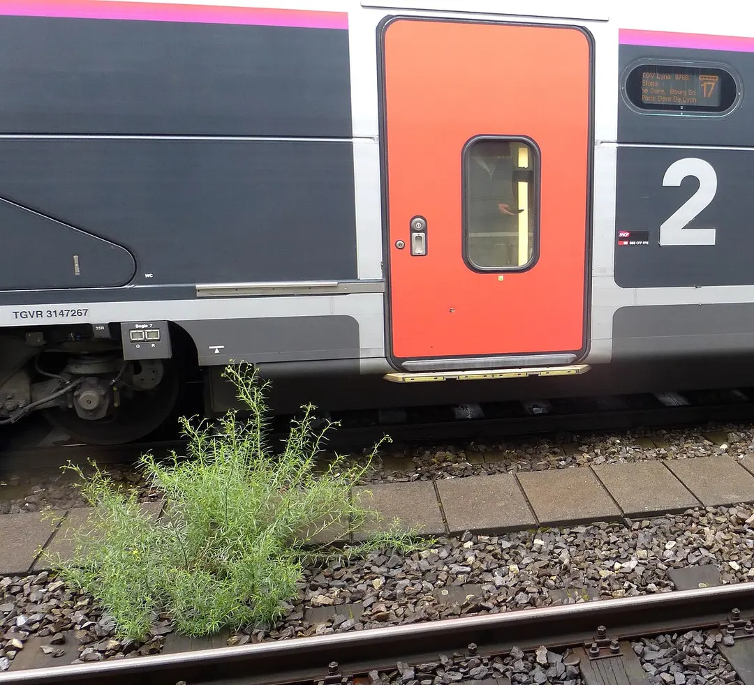 Bahnhof Genf-Cornavin