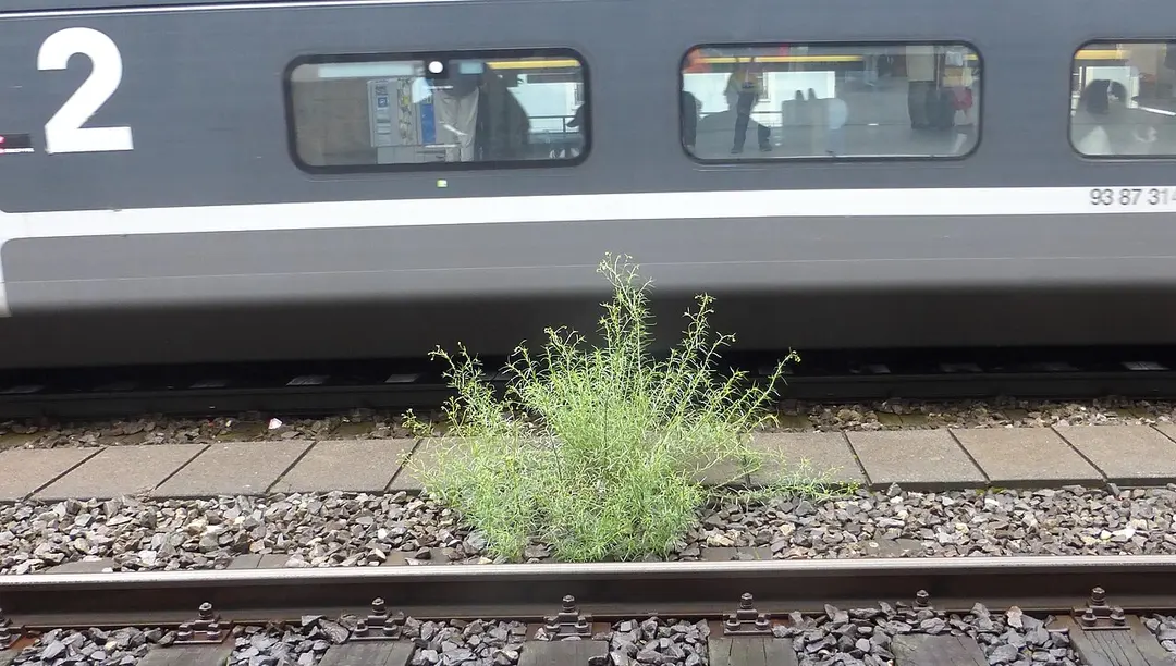 Bahnhof Genf-Cornavin