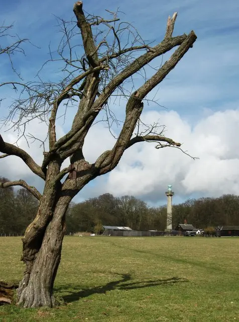Bridgewater Monument