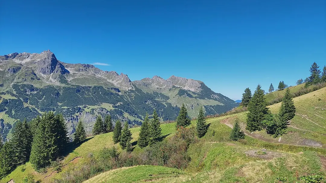 Alpgundkopf