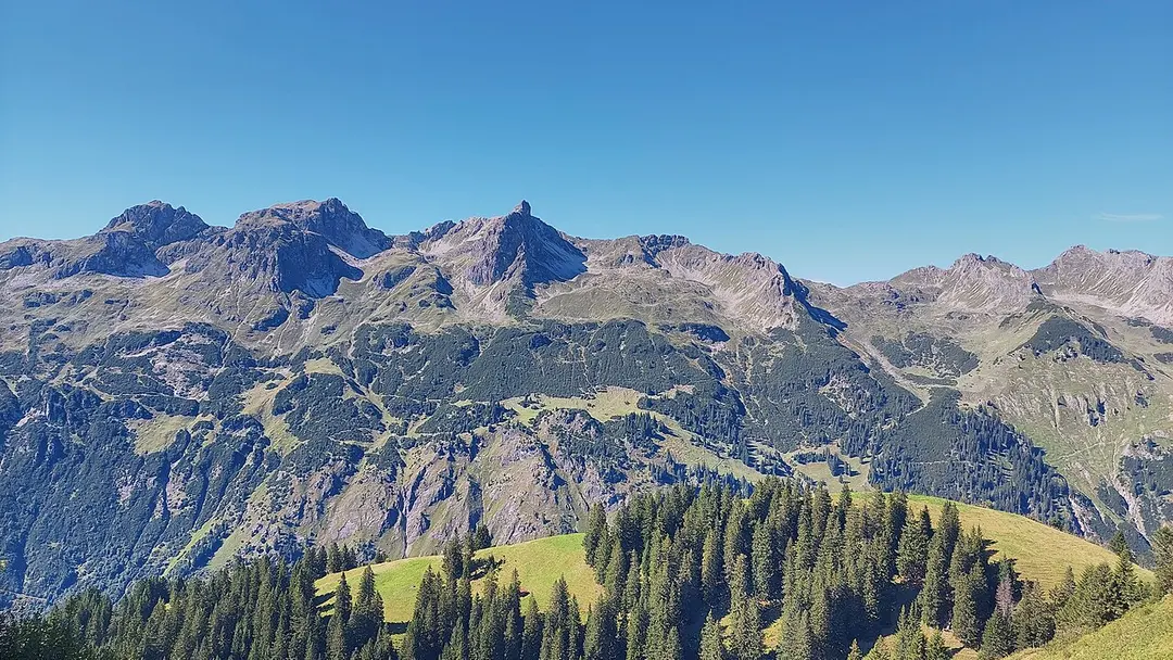 Alpgundkopf