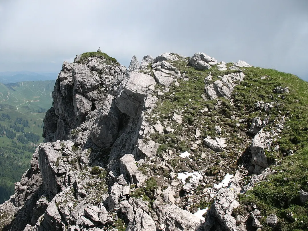 Alpgundkopf