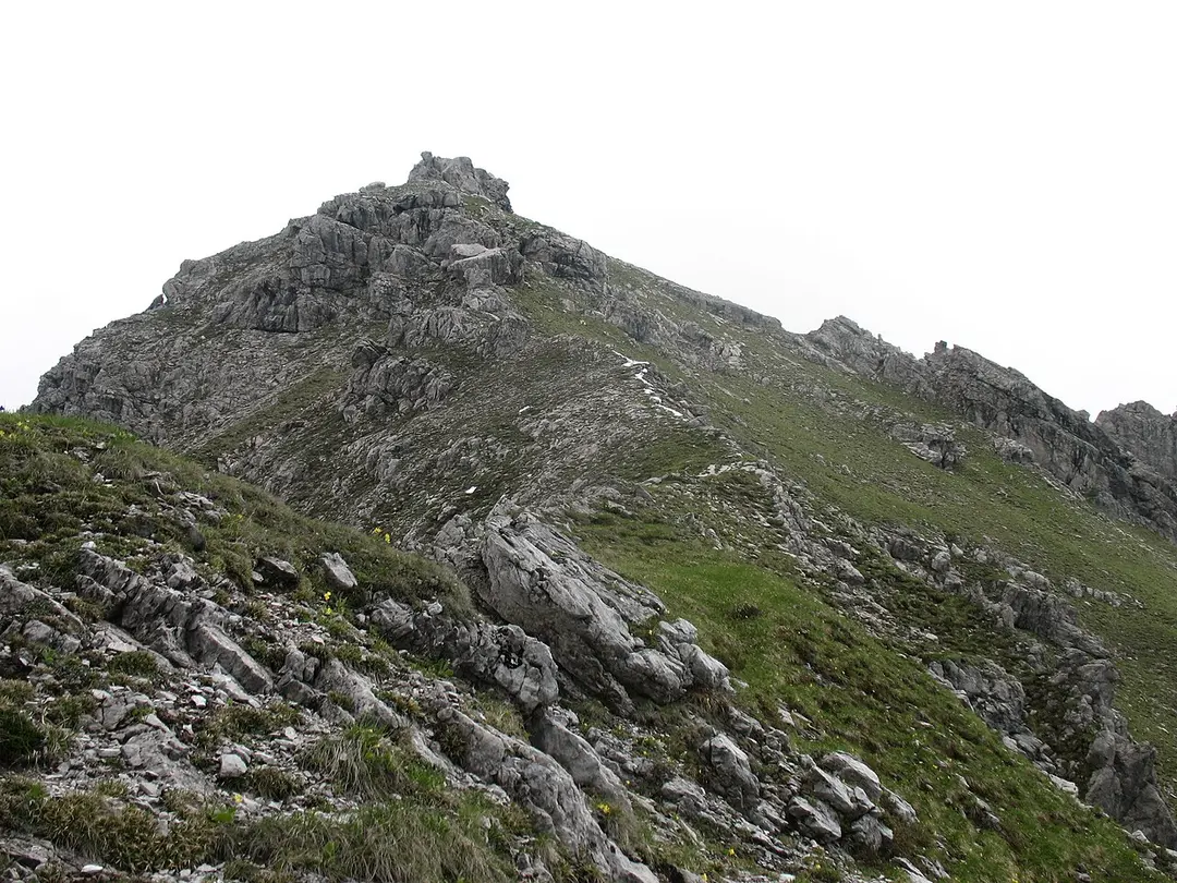 Alpgundkopf