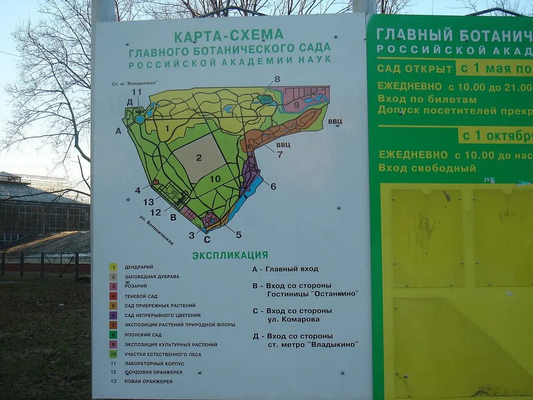 Botanischer Garten Moskau