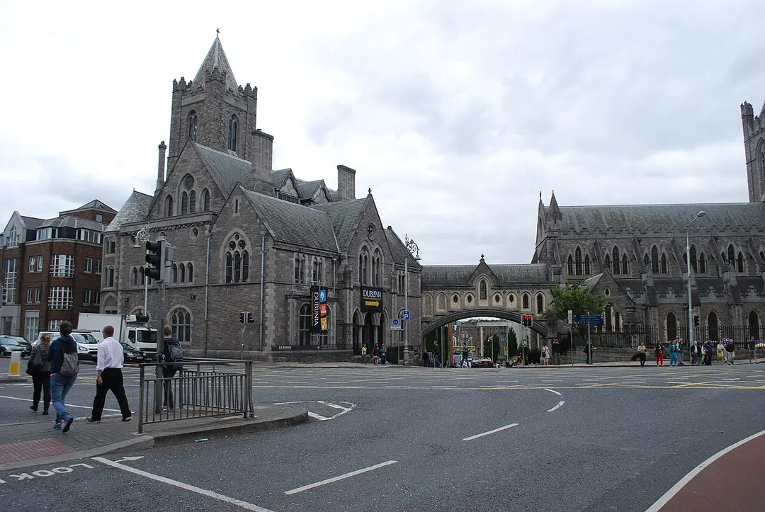 Dublinia