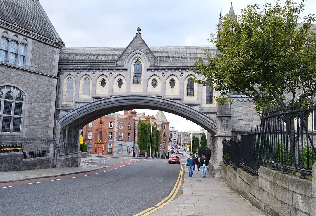 Dublinia
